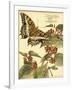 Mini Whimsical Butterflies II-Vision Studio-Framed Art Print