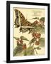 Mini Whimsical Butterflies II-Vision Studio-Framed Art Print