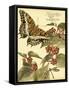 Mini Whimsical Butterflies II-Vision Studio-Framed Stretched Canvas