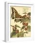 Mini Whimsical Butterflies II-Vision Studio-Framed Art Print
