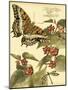 Mini Whimsical Butterflies II-Vision Studio-Mounted Art Print