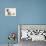 Miniature Bull Terrier Bitch and Dog-Mark Taylor-Photographic Print displayed on a wall