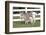 Miniature Donkey Mother with Foal in Green Pasture Grass, Middletown, Connecticut, USA-Lynn M^ Stone-Framed Photographic Print