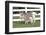 Miniature Donkey Mother with Foal in Green Pasture Grass, Middletown, Connecticut, USA-Lynn M^ Stone-Framed Photographic Print