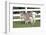 Miniature Donkey Mother with Foal in Green Pasture Grass, Middletown, Connecticut, USA-Lynn M^ Stone-Framed Photographic Print