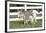 Miniature Donkey Mother with Foal in Green Pasture Grass, Middletown, Connecticut, USA-Lynn M^ Stone-Framed Photographic Print