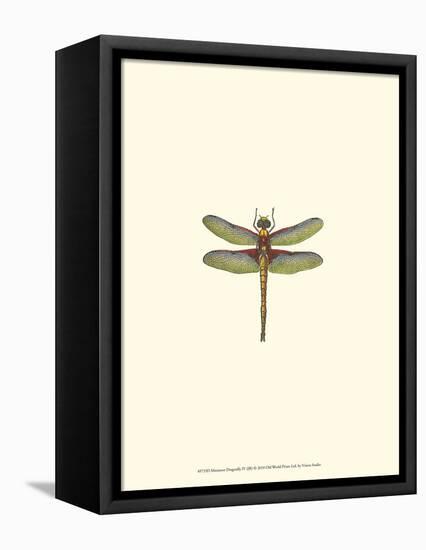 Miniature Dragonfly IV-Vision Studio-Framed Stretched Canvas