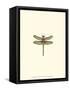 Miniature Dragonfly IV-Vision Studio-Framed Stretched Canvas