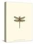Miniature Dragonfly IV-Vision Studio-Stretched Canvas