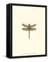 Miniature Dragonfly IV-Vision Studio-Framed Stretched Canvas