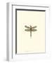 Miniature Dragonfly IV-Vision Studio-Framed Art Print