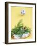 Miniature Footballer Fighting His Way Through Forest of Dill-Martina Schindler-Framed Photographic Print