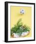 Miniature Footballer Fighting His Way Through Forest of Dill-Martina Schindler-Framed Photographic Print