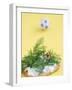 Miniature Footballer Fighting His Way Through Forest of Dill-Martina Schindler-Framed Photographic Print