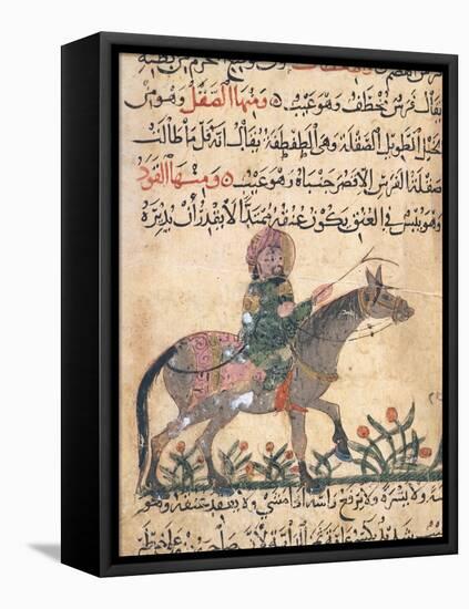 Miniature from a Treatise on Horses by Ahmed Ibn Al-Hasan Ibn Al-Ahnaf-null-Framed Stretched Canvas