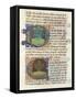 Miniature, from Treaty of Medicine by Aldebrande of Florence, Manuscript-null-Framed Stretched Canvas