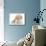 Miniature Goldendoodle Puppy (Golden Retriever X Poodle Cross) 7 Weeks, Lying Down-Mark Taylor-Mounted Photographic Print displayed on a wall