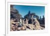 Miniature Hikers with Backpacks-Kirill_M-Framed Photographic Print