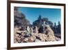 Miniature Hikers with Backpacks-Kirill_M-Framed Photographic Print