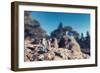 Miniature Hikers with Backpacks-Kirill_M-Framed Photographic Print