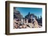 Miniature Hikers with Backpacks-Kirill_M-Framed Photographic Print