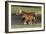 Miniature Horse 002-Bob Langrish-Framed Photographic Print