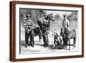 Brown Frame