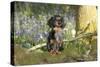 Miniature Long Haired Dachshund in Bluebells-null-Stretched Canvas