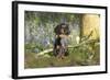 Miniature Long Haired Dachshund in Bluebells-null-Framed Photographic Print