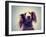 Miniature Long Haired Dachshund with Blue Sky Done with a Retro-graphicphoto-Framed Photographic Print