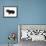 Miniature Long-Haired Dachshund-null-Framed Photographic Print displayed on a wall
