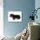 Miniature Long-Haired Dachshund-null-Photographic Print displayed on a wall