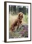 Miniature Long Haired Dachshunds on a Tree Stump-null-Framed Photographic Print