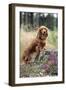 Miniature Long Haired Dachshunds on a Tree Stump-null-Framed Photographic Print