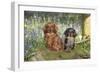 Miniature Long Haired Dachshunds Sitting in Bluebells-null-Framed Photographic Print