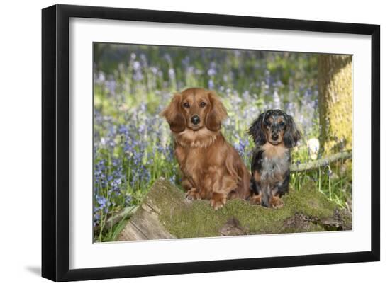 Premium Photographic Print, , large