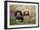 Miniature Long Haired Dachshunds Sitting Together-null-Framed Photographic Print