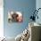 Miniature Poodle-null-Stretched Canvas displayed on a wall