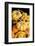 Miniature pumpkins and gourds-Lisa Engelbrecht-Framed Photographic Print