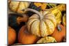 Miniature pumpkins-Lisa Engelbrecht-Mounted Photographic Print