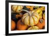 Miniature pumpkins-Lisa Engelbrecht-Framed Photographic Print