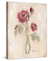 Miniature Rose II-Peggy Abrams-Stretched Canvas