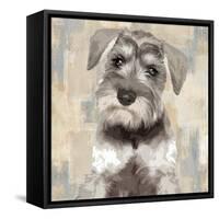 Miniature Schnauser-Keri Rodgers-Framed Stretched Canvas
