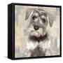 Miniature Schnauser-Keri Rodgers-Framed Stretched Canvas