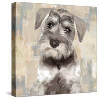 Miniature Schnauser-Keri Rodgers-Stretched Canvas