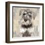 Miniature Schnauser-Keri Rodgers-Framed Art Print