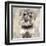 Miniature Schnauser-Keri Rodgers-Framed Art Print