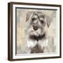 Miniature Schnauser-Keri Rodgers-Framed Art Print