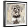 Miniature Schnauser-Keri Rodgers-Framed Art Print