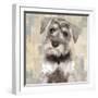 Miniature Schnauser-Keri Rodgers-Framed Art Print